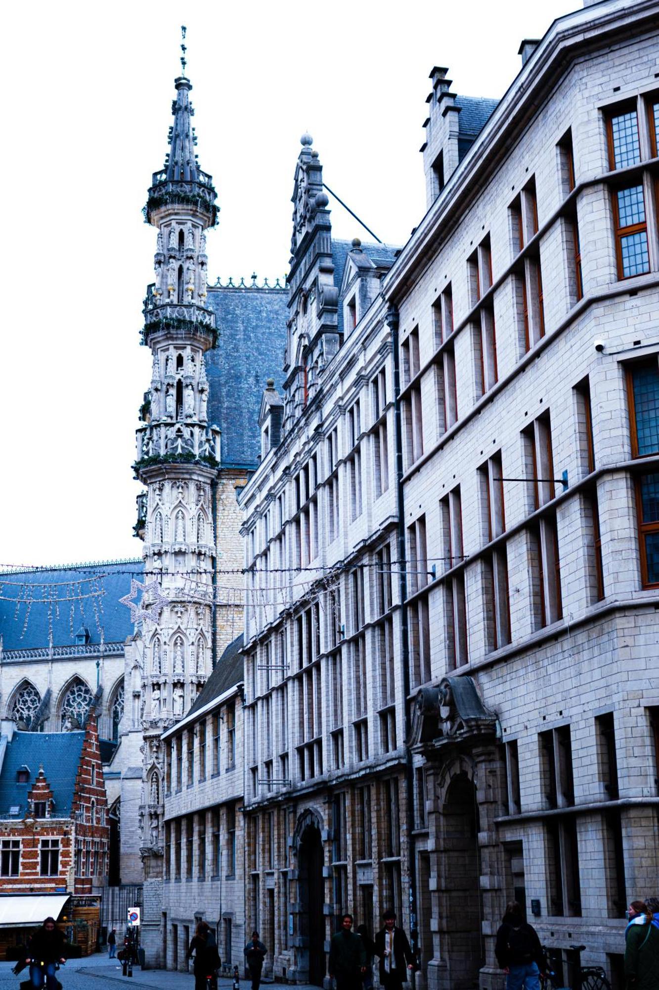Hotel Professor Leuven Centrum Lovaina Exterior foto